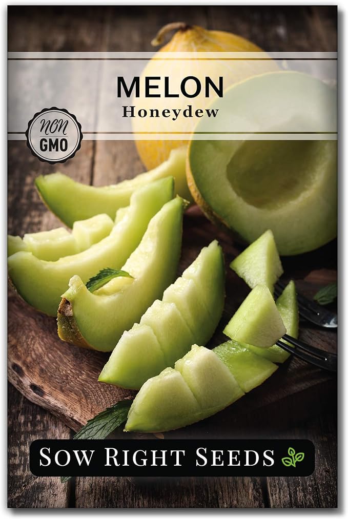 Sow Right Seeds - Green Honeydew Melon Seeds for Planting - Non-GMO Heirloom Packet with Instructions to Plant a Home Vegetable Garden - Super Sweet and Crisp Green Honey Dew Cantaloupe (1)