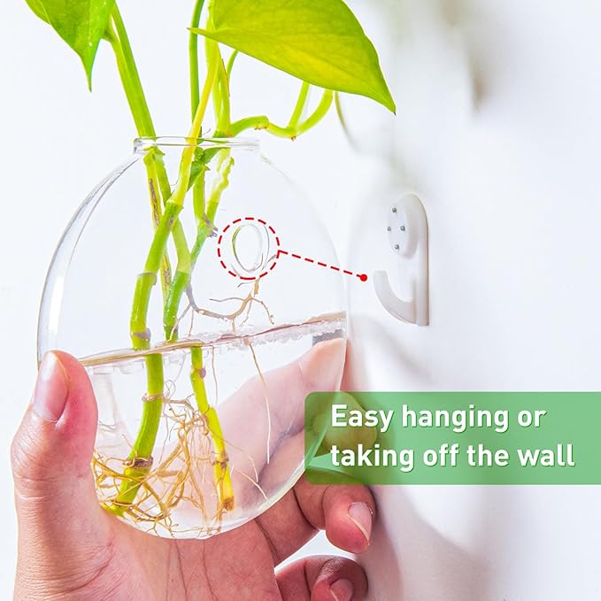 6 PCS Glass Wall Hanging Planters for Flowers, Hydroponics, Indoor Use, Medium, Transparent, Round, Classic Style