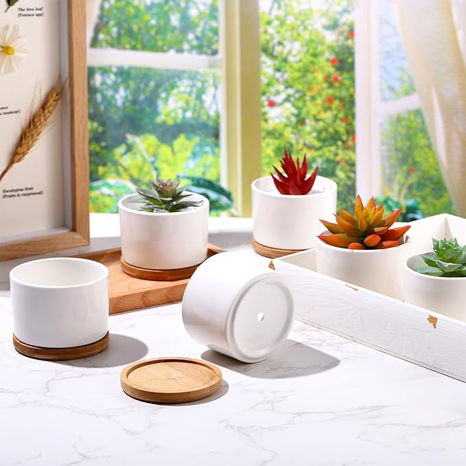 Cindeer 12 Sets Succulent Plant Pot Ceramic Succulent Pots Container Cactus Pots with Bamboo Tray Small Cylinder Flower Plant Pot with Bamboo Saucers for Plants Indoor Outdoor(White,3 x 2.17 Inch)