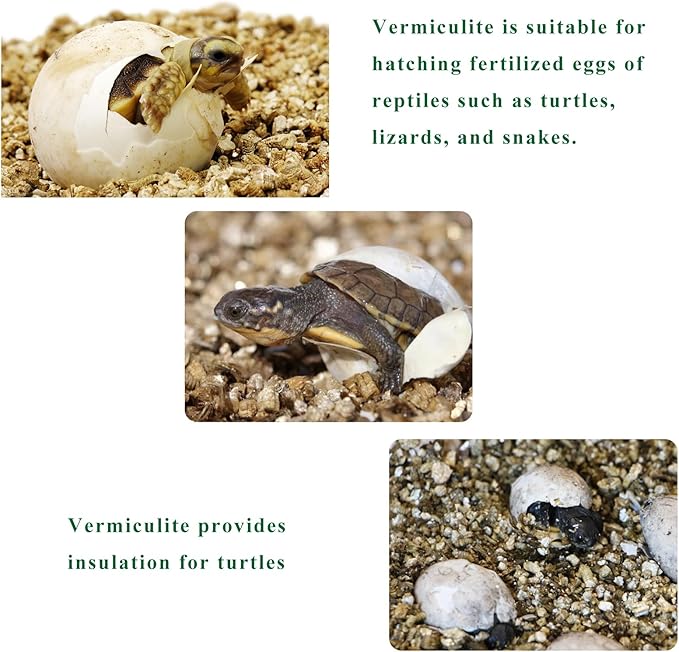 2QT Organic Vermiculite, Horticultural Vermiculite for Plants, Soil Additive for Potted Plants, Vermiculite Coarse Hydroponic for Succulent Orchid Gardening Reptiles