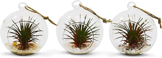 WGV Hanging Terrarium Globe, Width 2.5", Height 3", DIY Air Succulent Planter, Clear Glass Vase Orb with Flat Bottom, Candle Holder for Windowsill Outdoor Garden Decor, 12 Pieces Bulk