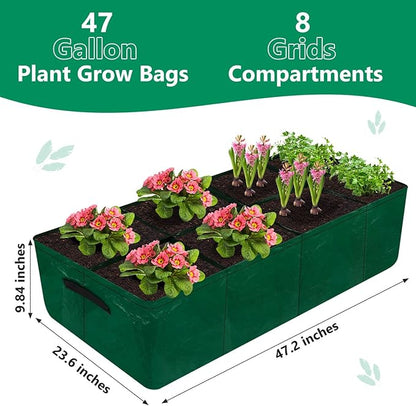 Caffox 2 Pack Fabric Raised Garden Bed, 4x2x0.8ft Plant Grow Bags for Flowers and Vegetables, 94 Gallon