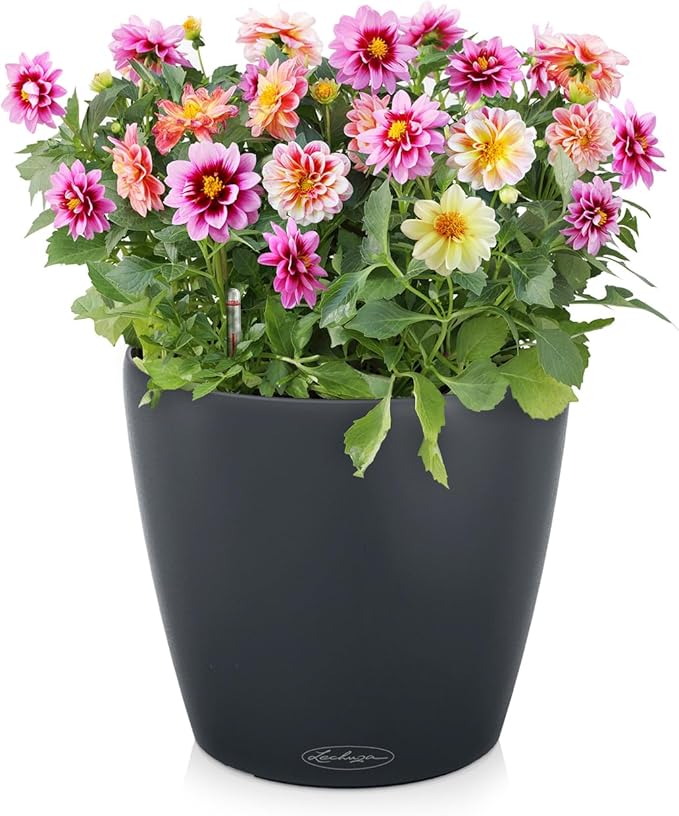 Classico Color 28 Slate, Self-Watering Round Planter, D11 H10.2 in