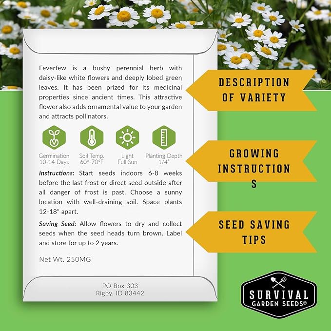 Feverfew Seeds for Planting - Perennial Daisy-Like Flower Herb, Pollinator Friendly Garden, Easy to Grow Traditional Herb - Heirloom Non-GMO Open Pollinated - Survival Garden Seeds (5 Pack)