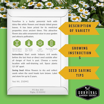 Feverfew Seeds for Planting - Perennial Daisy-Like Flower Herb, Pollinator Friendly Garden, Easy to Grow Traditional Herb - Heirloom Non-GMO Open Pollinated - Survival Garden Seeds (3 Pack)