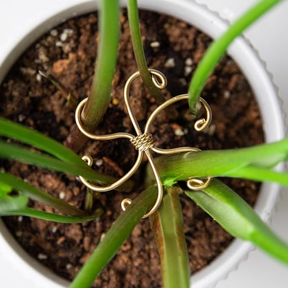 Monstera Plant Stem Support Set - 5 Durable Stabilizers (2.75"x2.75") for Indoor Plants, Leaf Holder & Cactus Stake - Keep Monstera Healthy & Upright - Ideal Gift for Plant Lovers