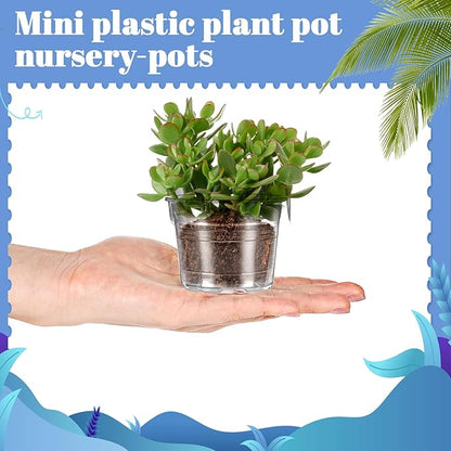 200 Pcs Clear Mini Plastic Plant Pot Nursery Seedling Pots Seed Starter with Drainage Holes for Indoor Outdoor Garden Succulent Plants Cuttings Transplanting