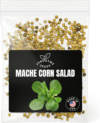 Mache Corn Salad Seeds for Planting – 500+ Non-GMO Heirloom Seeds, Lamb’s Lettuce for Home Gardens & Fresh Salads (Valerianella Locusta)