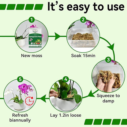 ZeeDix 6QT Natural Sphagnum Moss for Plants, Orchid Moss Potting Mix for Repotting, High Water Retention, Help with Maintain Humidity, Plant Moss for Gardening, Hanging Baskets, Reptile Bedding