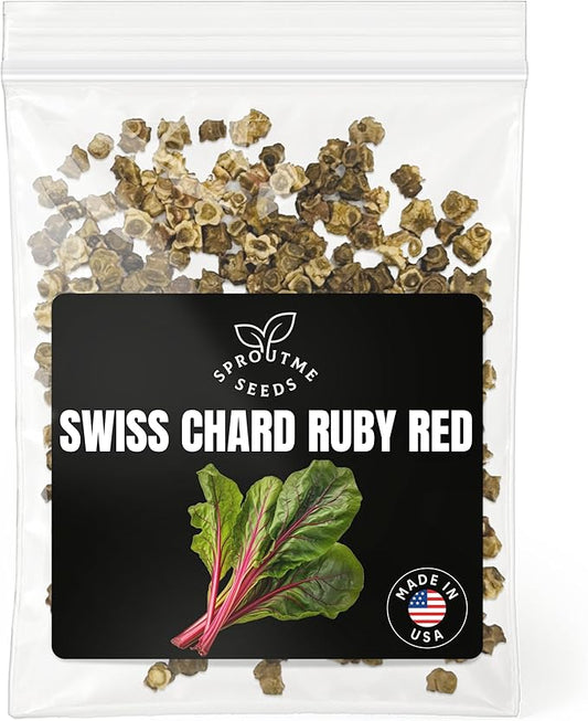 Swiss Chard Ruby Red Seeds for Planting – 300+ Non-GMO Heirloom USA-Grown Red Stem Leafy Greens for Spring & Fall Gardening, High Germination (Beta vulgaris subsp. cicla)
