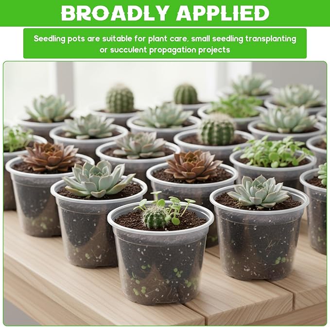240 Pcs Clear Mini Plastic Plant Pot with Drainage Holes, 3 Inch Nursery Seedling Pots Seed Starter Round Plastic Pots for Succulent Plants Cuttings Transplanting, Indoor Outdoor Use
