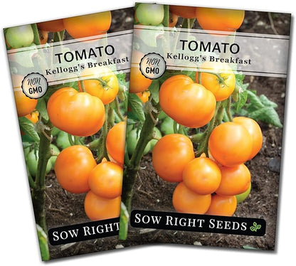 Sow Right Seeds - Kellogg’s Breakfast Tomato Seeds for Planting - Non-GMO Heirloom Packet with Instructions to Plant a Home Vegetable Garden - Beefsteak Slicer with Orange-Yellow Skin - Mild Taste (2)