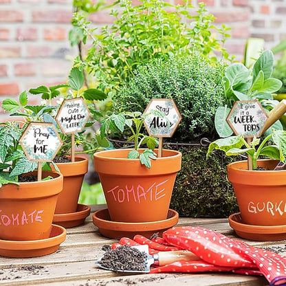 15 Pcs Hexagonal Funny Plant Markers, Water Please Pray for Me Plant Labels Wood Greenery Garden Tags for Vegetable Flower Herb Succulent Seedling Potted, 2.5x4.7 Inch