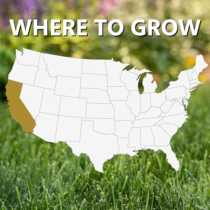Jonathan Green (10769) Black Beauty Golden State California Grass Seed (Made for California) - Cool Season Lawn Seed (1 lb)