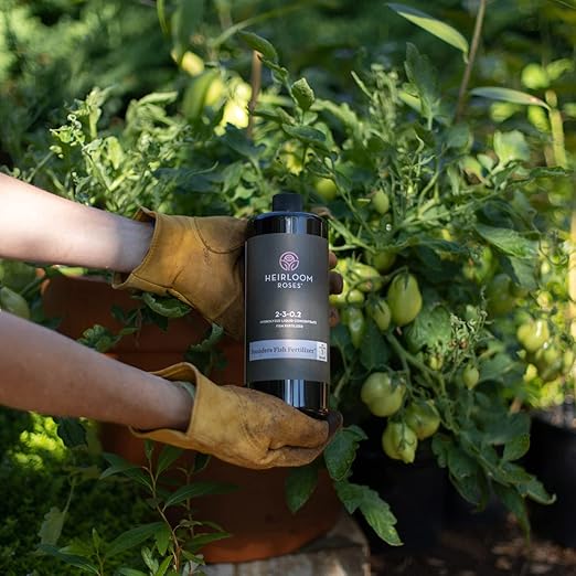 Heirloom Roses Founder’s Fish Fertilizer - Plant Food for Plants, Organic Liquid Emulsion Fertilizer, Garden Fertilizers for Rose Flower and Tomato Outdoor Gardening