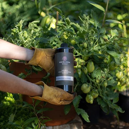 Heirloom Roses Founder’s Fish Fertilizer - Plant Food for Plants, Organic Liquid Emulsion Fertilizer, Garden Fertilizers for Rose Flower and Tomato Outdoor Gardening