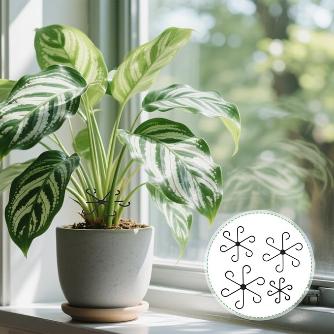 Augshy 12 Pcs Plant Stem Holders, Plastic Invisible Plant Support Stakes Indoor Reusable Climbing Houseplant Stem Supports Hook Growth Accessories for Indoor Home Garden