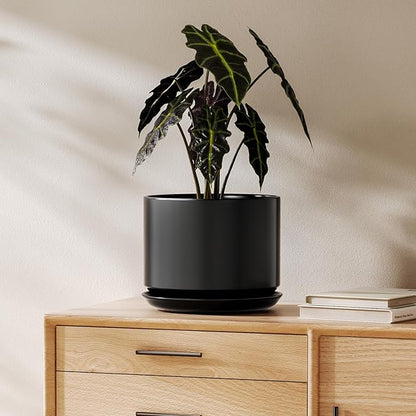 LE TAUCI Ceramic Pots for Plants, 8 Inch Plant Pot with Drainage Hole & Saucer, Modern Minimalist Planters for Indoor Plants, Round Flower Pot for Snake Plant, Monstera, Perfect for Home Decor, Black
