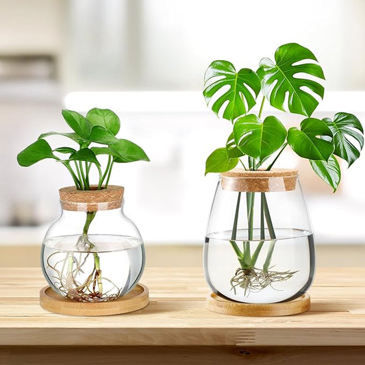 Layhit 4 Pcs Plants Propagation Stations vases Glass Planters with Wooden Lid and Bamboo Stand for Hydroponic Plants Gardening Gifts for Women Mom Home Office Tabletop Decoration(Lovely Style)