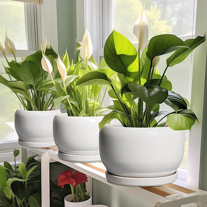 SQOWL Ceramic Flower Pots - 6 Inch Plant Pot Indoor Outdoor, Ceramic Planter with Drainage Hole and Saucer, Modern Round Succulent Planter, Bookshelf Decor, House Warming Gifts New Home, White