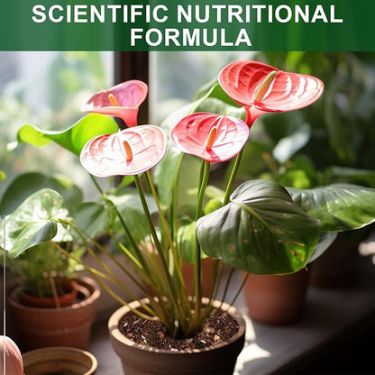 All-Natural Potting Soil for Anthurium & Indoor Plants 2qt - Enhanced Drainage, No Additives | Premium Indoor Plant Soil Mix