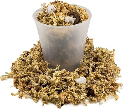 Gardenera Premium PHALAENOPSIS Imperial Orchid Potting Mix - Hand Mixed in Small Batches | Great for Phalaenopsis of All Kinds - 3 Quart Bag