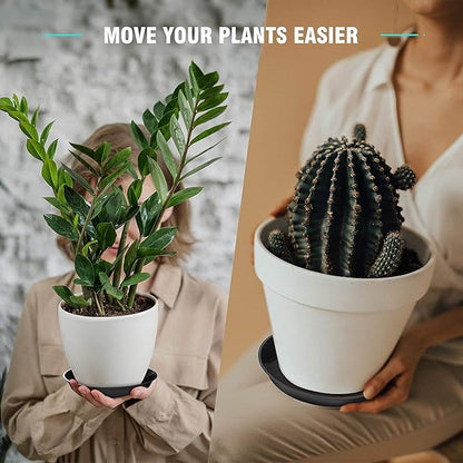 6 Pack Plant Saucer 4 6 8 10 12 14 16 18 20 22 Inch Plastic Plant Tray, Sturdy and Durable Flower Pot Container Accessories Plant Pot Saucers for Indoor and Outdoor (4 Inch, Black)