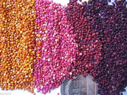 Chenopodium quinoa plant Seeds- Rainbow -Hot pink Red,Orange,Yellow,White,Green
