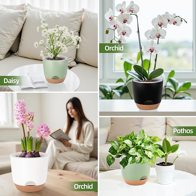 Self Watering Orchid Pots for Indoor Plants,5.8 Inch Macetas para Orqudeas,Flower Pots for Indoor Plants with Holes(Green)