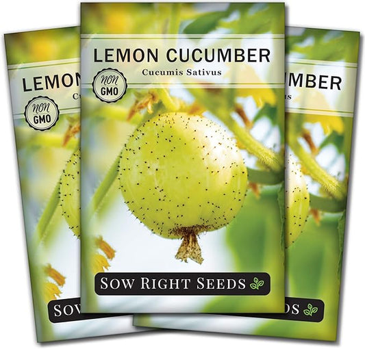 Sow Right Seeds - Lemon Cucumber Seeds for Planting - Non-GMO Heirloom Seeds with Instructions to Plant and Grow a Home Vegetable Garden - Unique Round Variety with Melon Flavor for Outdoors (3)