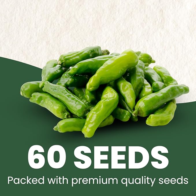 Shishito Pepper – 60 Premium Seeds for Planting – Sweet, Savory, High-Yielding Specialty Pepper for The 2026 Season – 500 Milligram Pouch