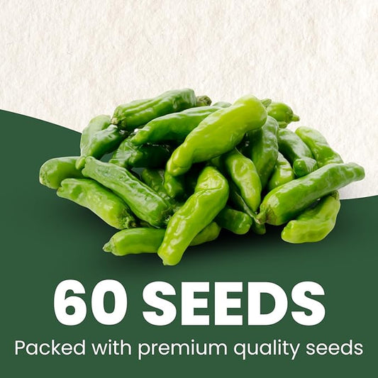 Shishito Pepper – 60 Premium Seeds for Planting – Sweet, Savory, High-Yielding Specialty Pepper for The 2026 Season – 500 Milligram Pouch