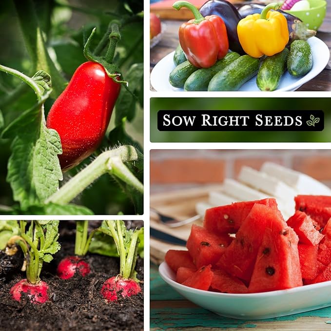 Sow Right Seeds - Classic Vegetable Garden Seed Collection for Planting - Non-GMO Heirloom Broccoli, Cabbage, Carrot, Cucumber, Kale, Lettuce, Tomato, Peppers, Zucchini, and More