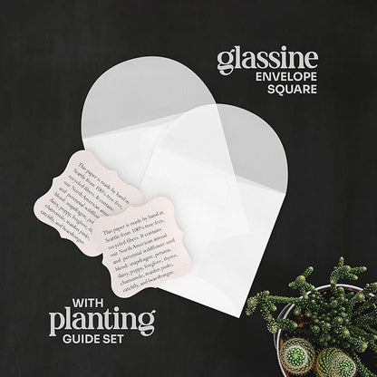 Set of 24 Mixed Heart Seed Paper – Writable & Plantable Wildflower Hearts with Envelopes & Planting Guides, Gift for Moms or Plant Lovers for Mother’s Day, Heart Party Favors for Weddings & Showers