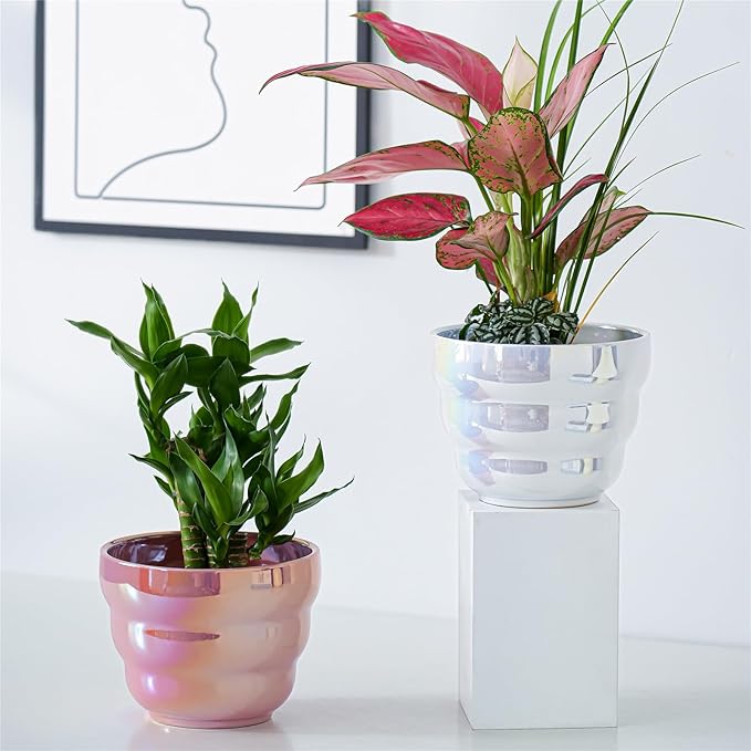 Pots for Indoor Plants, Rainbow Pearl Glaze Planters Set of 2 with Drainage Hole, 6 Inch Round Modern Pots for Flower Snakes Succulents, White and Pink