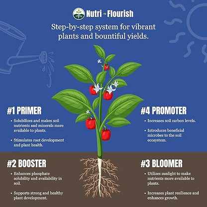 Promoter - Liquid Plant Enhancer for Gardening & Potting | Boost Soil Organic Matter | Nutrients for Flowering Plants and Vegetables to Promote Growth, 16 Oz