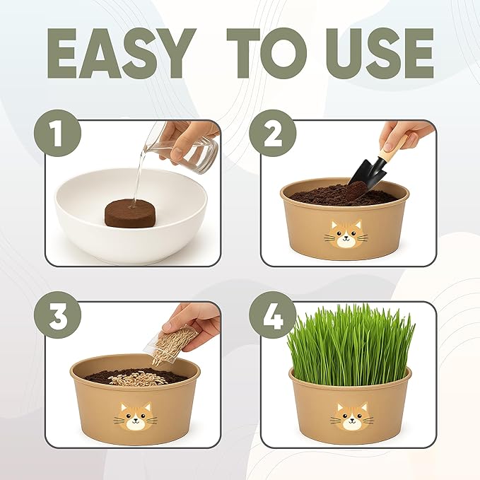 Cat Grass Kit for Indoor Cats – x3 Seed Packets | Cat Grass Seeds with Recyclable Planter & Coconut Coir Expanding Soil Discs – Wheatgrass Grass