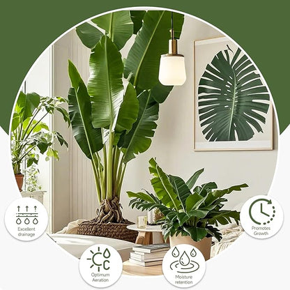 Premium Banana Tree Potting Mix for Optimal Seedling Growth 10qt, Suitable for All Indoor and Outdoor Banana Tree Varieties