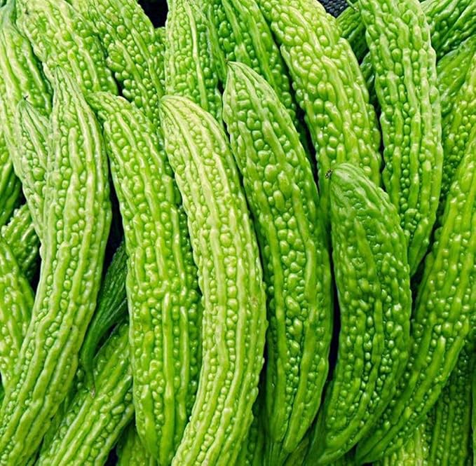 15 Long Bitter Melon Seeds - Up to 16 inches Fast Growing - Bitter Gourd Heirloom Non-GMO Vegetable Seeds