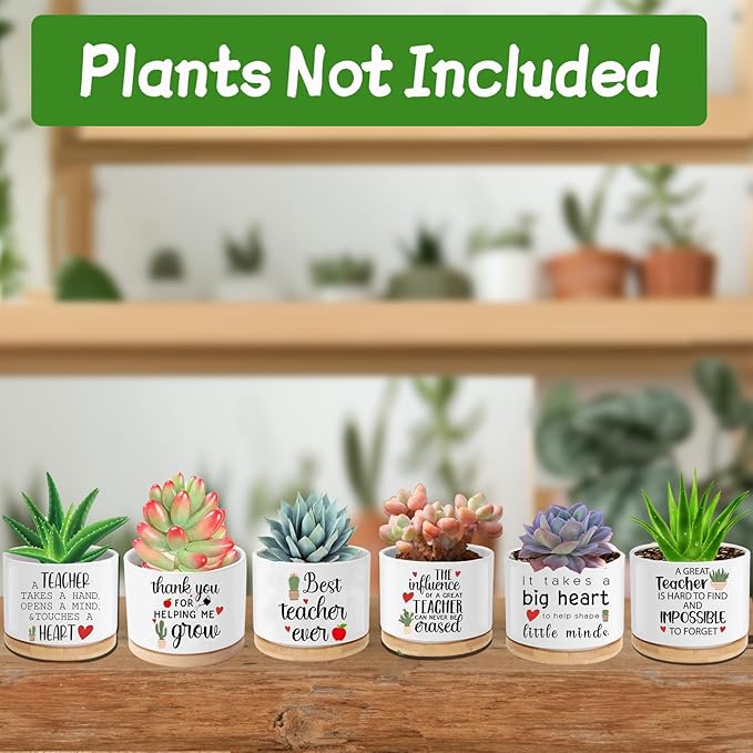 Teacher Appreciation Gifts for Women Bulk 6 Pieces Succulent Pots, 3.15 Inch Ceramic Small Plant Pots with Drainage and Bamboo Tray, Funny Christmas Birthday Retirement Thanksgiving Gifts for Teachers