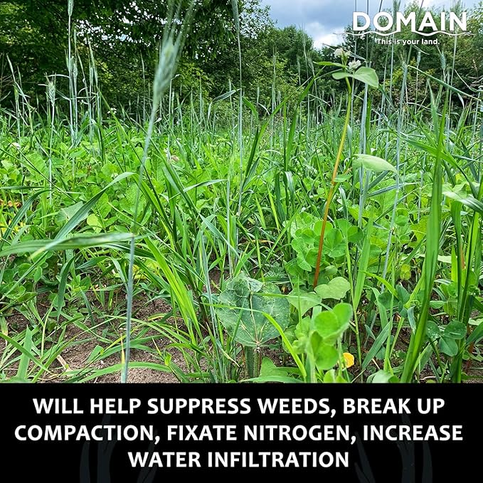 Domain Outdoor Overhaul Deer Food Plot Seed, Spring Triticale, Crimson Clover, Balansa Clover, Buckwheat, Tillage Radish, Great to Plant in Spring, Designed to Improve Soil and Attract Deer, 1/4 Acre