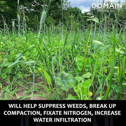 Domain Outdoor Overhaul Deer Food Plot Seed, Spring Triticale, Crimson Clover, Balansa Clover, Buckwheat, Tillage Radish, Great to Plant in Spring, Designed to Improve Soil and Attract Deer, 1/4 Acre