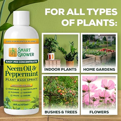 Neem Oil Spray for Plants with Peppermint Oil – for Indoor & Outdoor Plants, Gardens, & Houseplants– Best Value Refill 16 oz Concentrate Makes 2 Gallon RTU