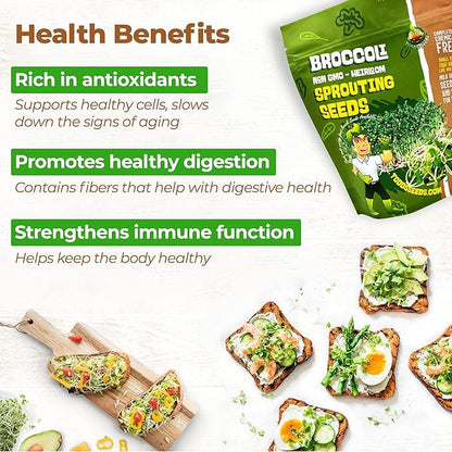 Todd’s Seeds - Calabrese Broccoli Sprouting Seeds, 1 lb - High in Sulforaphane, Non-GMO, Heirloom Variety - Bulk Seeds for Nutrient-Rich Sprouts & Home Gardening (Chemical Free - Better than Organic!)