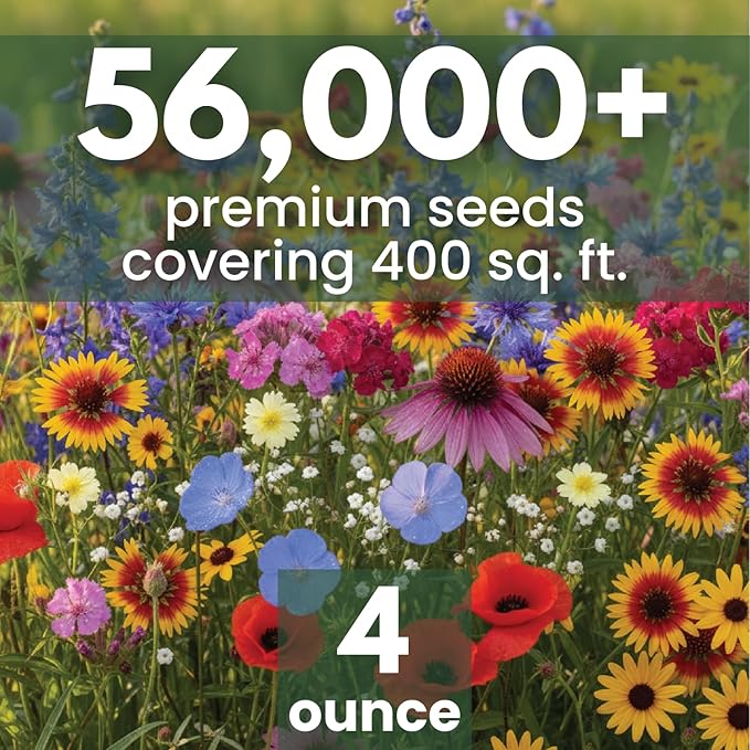 Midwest Regional Mix – 56,000 Seeds for Planting – 2026 Season – 4 Ounce Pouch