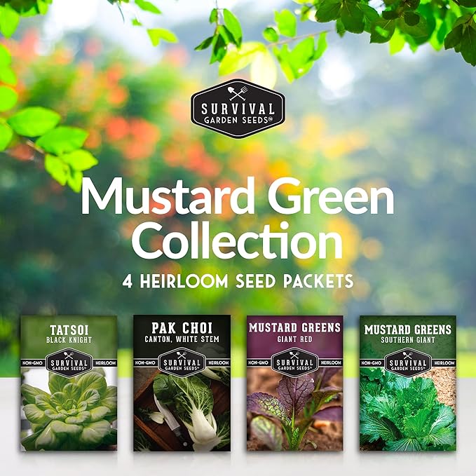 Mustard Green Seeds for Planting - 4 Variety Pack of Heirloom Greens | Tatsoi, Southern Giant, Giant Red, Pak Choi Mustard & Asian Greens Seed - Survival Garden Seeds
