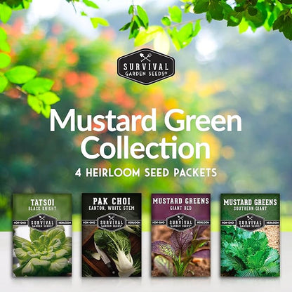 Mustard Green Seeds for Planting - 4 Variety Pack of Heirloom Greens | Tatsoi, Southern Giant, Giant Red, Pak Choi Mustard & Asian Greens Seed - Survival Garden Seeds