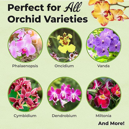 Orchid Fertilizer Mist by Perfect Plants | Foliar Food Spray & Bloom Booster for Indoor Orchids | Plant nutrients for Repeat Blooming (8 fl oz)