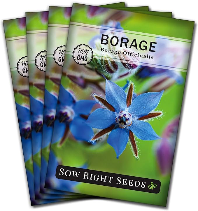 Sow Right Seeds - Borage Seed to Plant - Non-GMO Heirloom Seeds - Full Instructions for Easy Planting and Growing a Kitchen Herb Garden - Indoors or Outdoor - Great Gardening Gift (4)