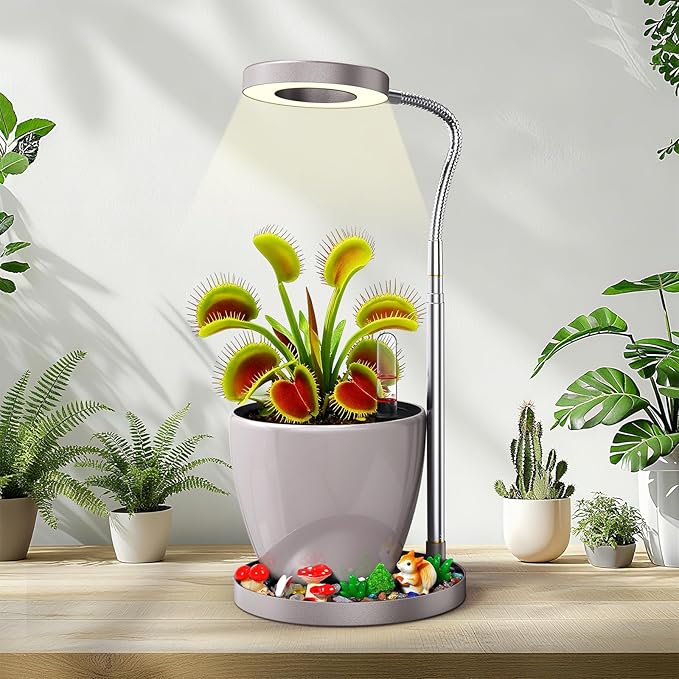 Venus Fly Trap Terrarium,Butterwort Plant Live Pot,Not Live Plant, Automatic Irrigation System Keeps Potted Soil Moist Makes a Great Gift Choice, Home Office Decor